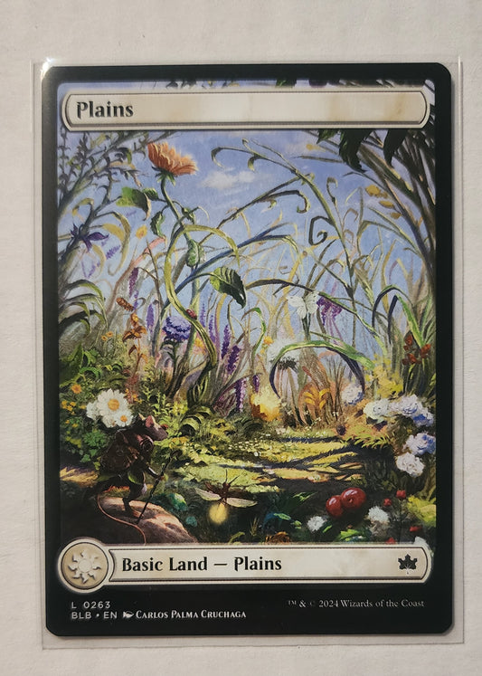 Plains L 0263