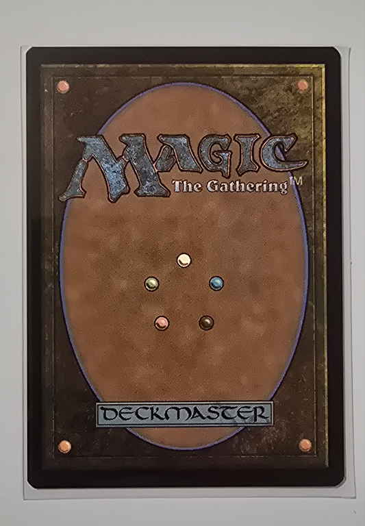 Magic the Gathering 500 sleeved cards lot